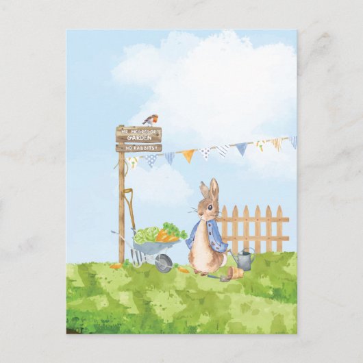 Carte Postale Pierre le lapin (Devant)