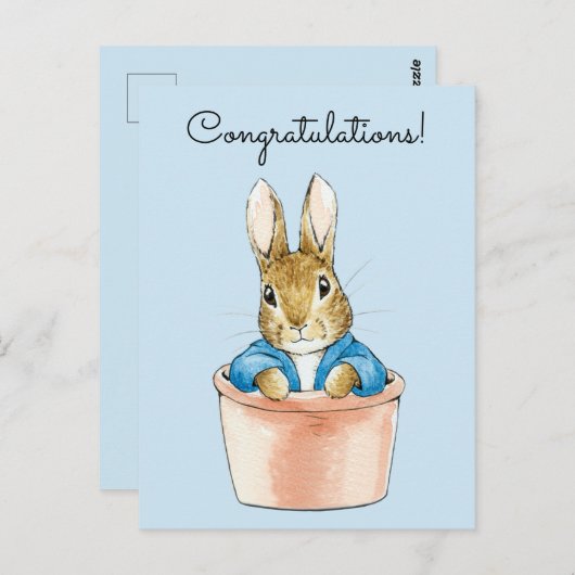 Carte Postale Pierre le lapin assis dans un pot (Devant / Derrière)