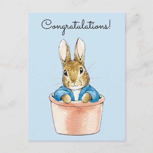 Carte Postale Pierre le lapin assis dans un pot (Devant)