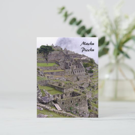 Carte Postale pierre machu (Debout devant)