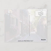 Carte Postale Pierre rouge Fleurs de rue Acorn (Dos)