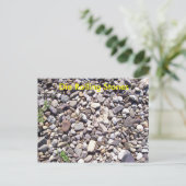 Carte Postale Pierres à rouleaux (Debout devant)