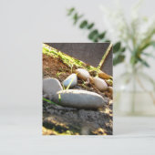 Carte Postale Pierres brillantes (Debout devant)