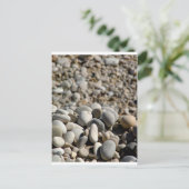 Carte Postale Pierres de la plage (Debout devant)