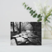 Carte Postale Pierres de pavage imprégnées de pluie (Debout devant)