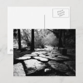 Carte Postale Pierres de pavage imprégnées de pluie (Devant / Derrière)