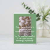 Carte Postale Pierres humides (Debout devant)