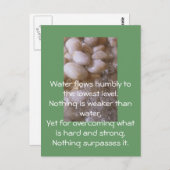 Carte Postale Pierres humides (Devant / Derrière)