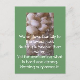 Carte Postale Pierres humides