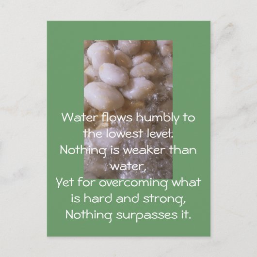 Carte Postale Pierres humides (Devant)