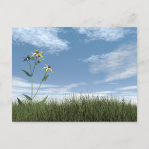 Carte Postale Pierres pacifiques - rendu 3D