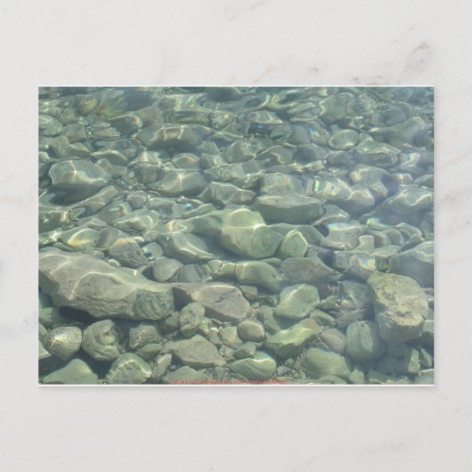 Carte Postale Pierres sous-marines (Devant)