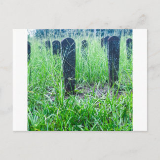 Carte Postale Pierres tombales rouillées du cimetière de Red Hil