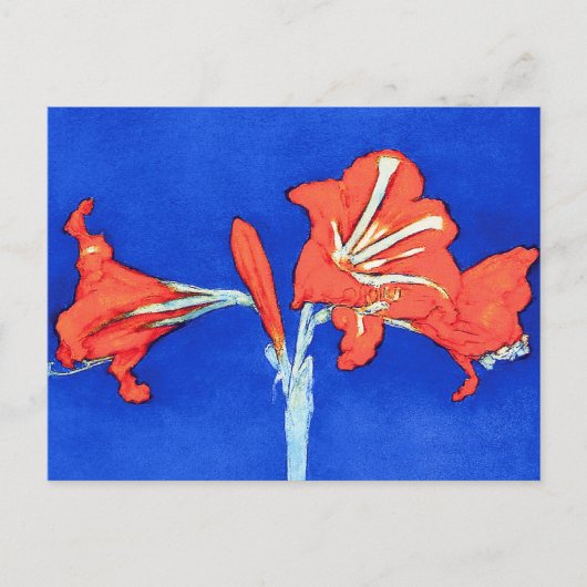 Carte Postale Piet Mondrian - Amaryllis Peinture aux Fleurs (Devant)