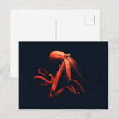 Carte Postale Pieuvre dans les ombres (Devant / Derrière)