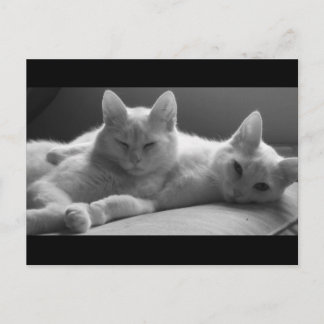 Carte Postale Piff et Puff