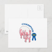 CARTE POSTALE PIG CHAMPION (Devant / Derrière)