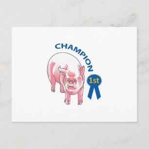 CARTE POSTALE PIG CHAMPION