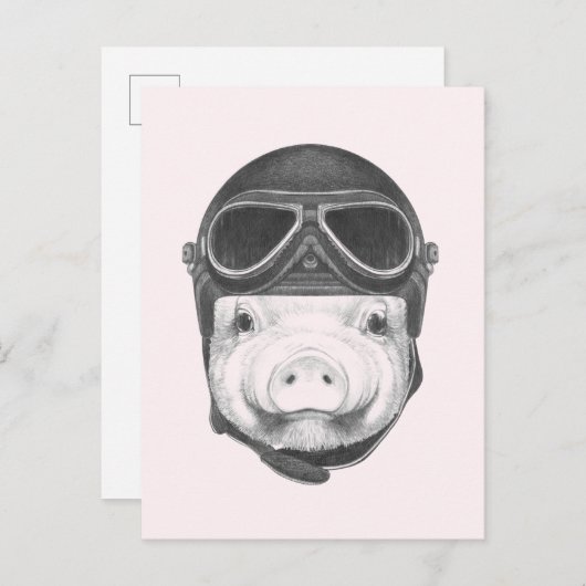 Carte Postale Pig Daredevil (Devant / Derrière)