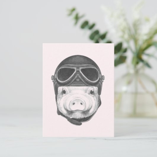 Carte Postale Pig Daredevil (Debout devant)
