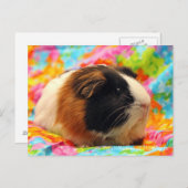 Carte postale Pig de Guinée étonnante (Devant / Derrière)