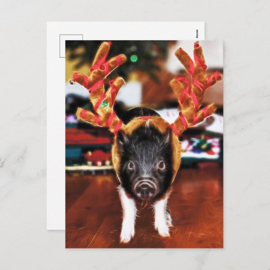 Carte postale Pig de Noël (Devant / Derrière)