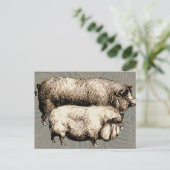 Carte Postale Pig Farm Pays Antique Illustration Art (Debout devant)