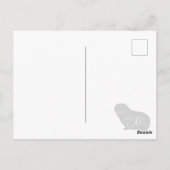 Carte postale Pig Guinée (Dos)