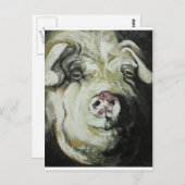 Carte Postale Pig n° 7 (Devant / Derrière)