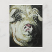 Carte Postale Pig n° 7 (Devant)