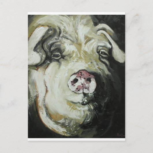 Carte Postale Pig n° 7 (Devant)