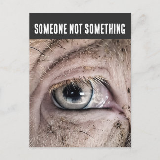 Carte Postale PIG Postcard, SOMEONE NOT SOMETHING