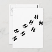 Carte Postale Pig - Traces (Devant / Derrière)