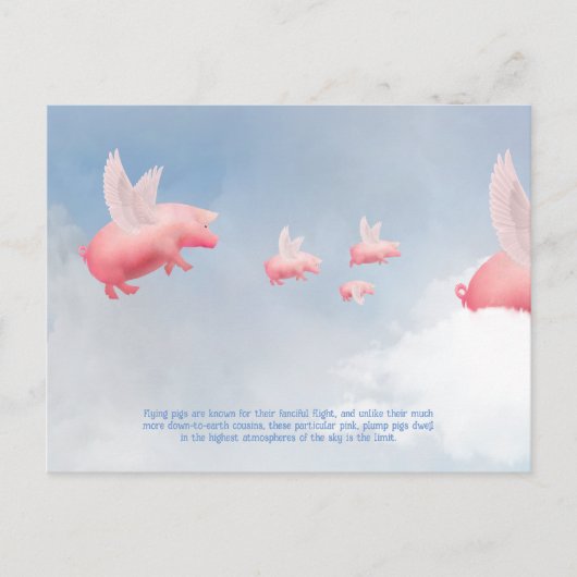 Carte Postale Pig volant (Devant)