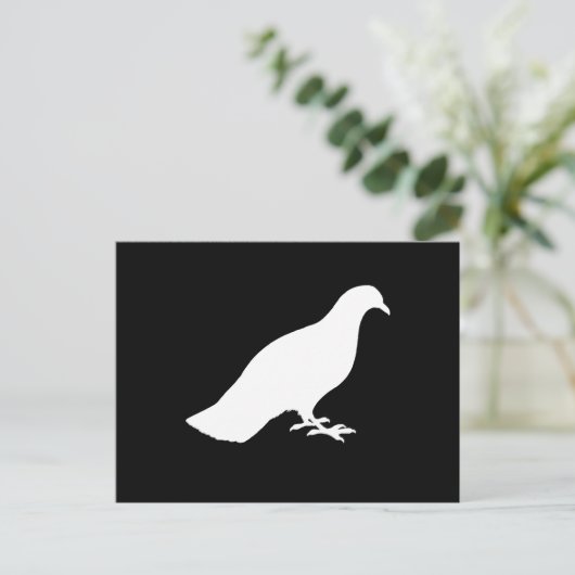 Carte Postale Pigeon (Debout devant)