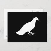 Carte Postale Pigeon (Devant / Derrière)