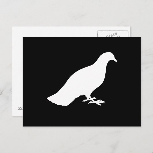 Carte Postale Pigeon (Devant / Derrière)