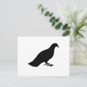 Carte Postale Pigeon (Debout devant)