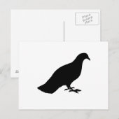 Carte Postale Pigeon (Devant / Derrière)