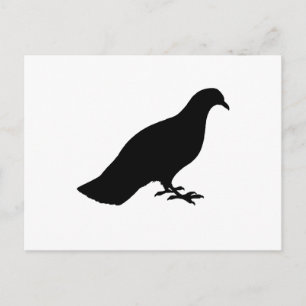 Carte Postale Pigeon
