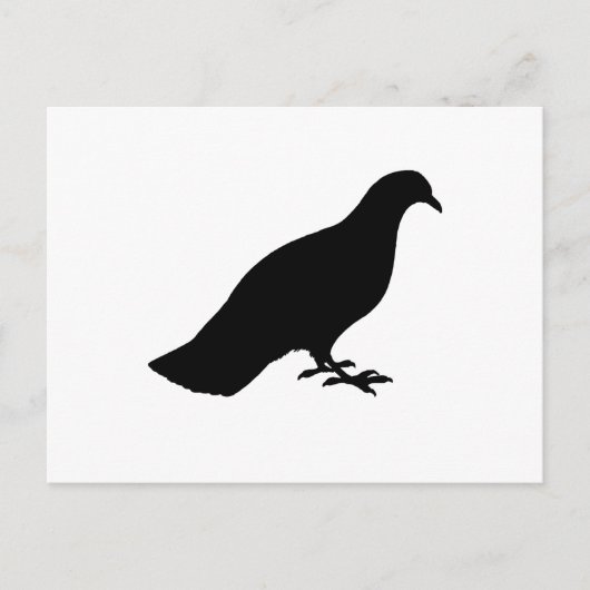 Carte Postale Pigeon (Devant)