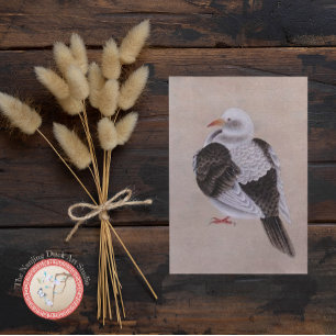 Carte Postale Pigeon