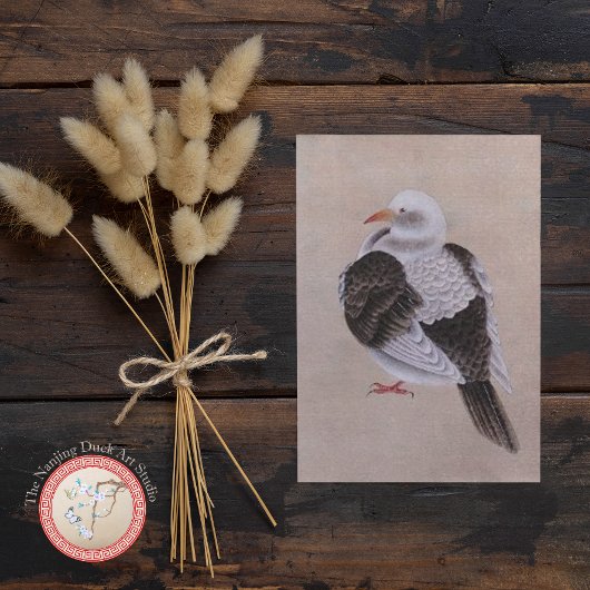 Carte Postale Pigeon