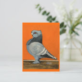 Carte Postale Pigeon Blondinette Bleue (Debout devant)
