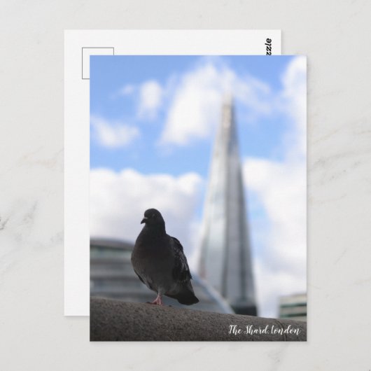 Carte Postale Pigeon de Londres avec vue sur la Barbe en arrière (Devant / Derrière)
