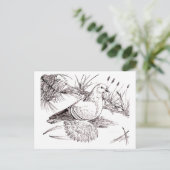 Carte Postale Pigeon de Saxon (Debout devant)