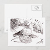 Carte Postale Pigeon de Saxon (Devant / Derrière)
