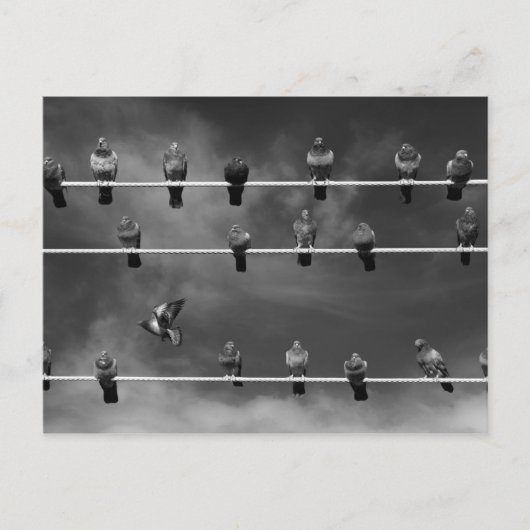 Carte postale Pigeon Foosball (Devant)