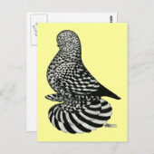 Carte Postale Pigeon mousseux mousseux (Devant / Derrière)