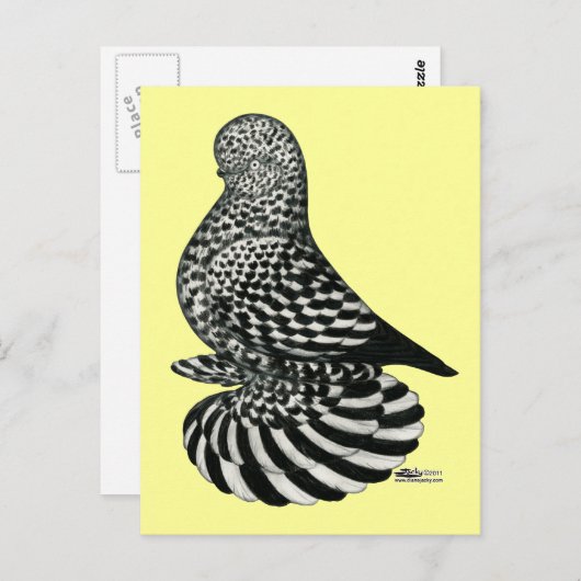 Carte Postale Pigeon mousseux mousseux (Devant / Derrière)